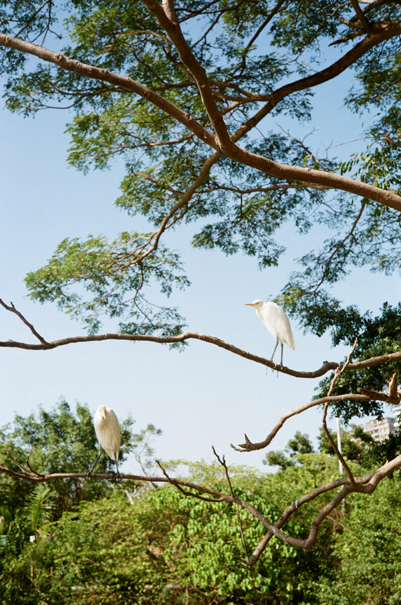 Exhibition 2024: Daisuke Tomizawa 富澤大輔 | KG+