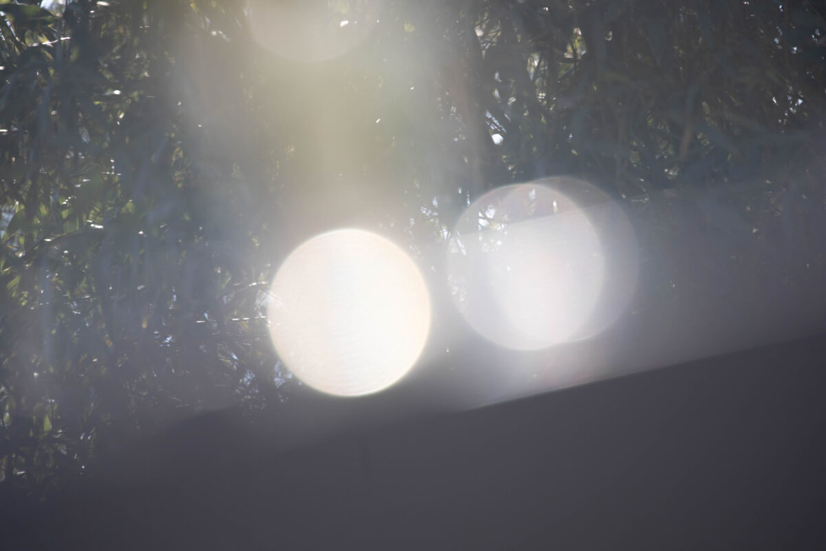 LIGHT and SHADOW Rinko Kawauchi (川内倫子) – SUPER LABO