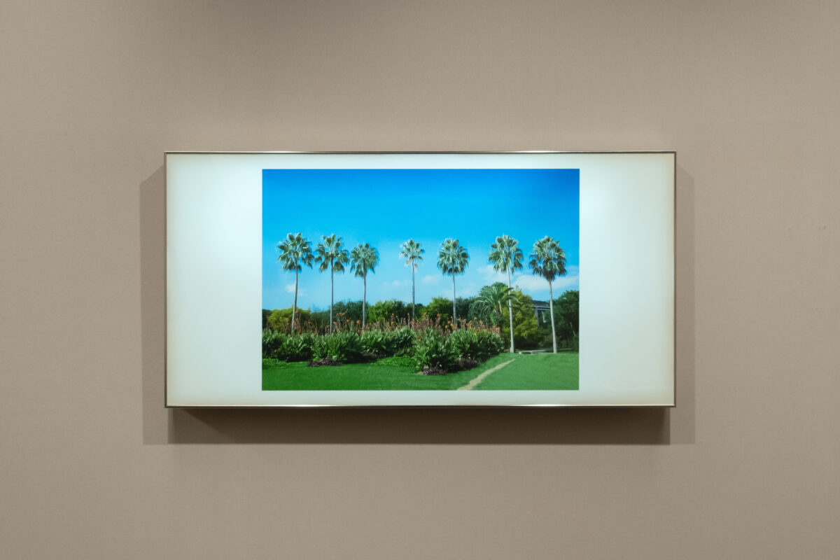 Exhibition 2026: Mayu Sato 佐藤真優 | KG+