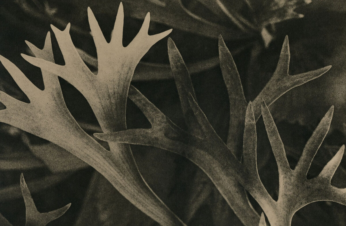 Exhibition 2026: Keiko Takamura 髙村啓子 | KG+