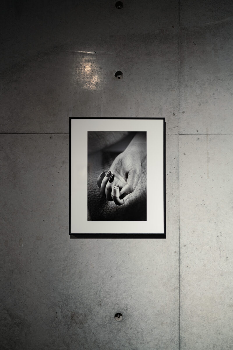 Exhibition 2026: Daido Moriyama 森山大道 | KG+